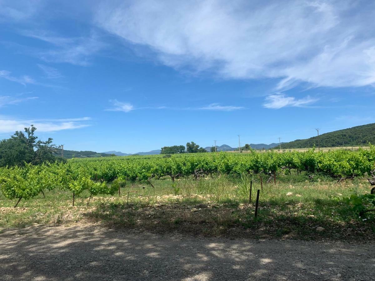 Villa Les Granges Vaison Saint-Marcellin-lès-Vaison Eksteriør bilde